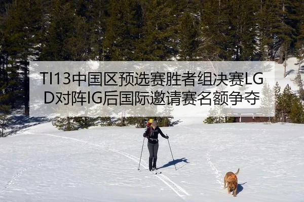 TI13中国区预选赛胜者组决赛LGD对阵IG后国际邀请赛名额争夺